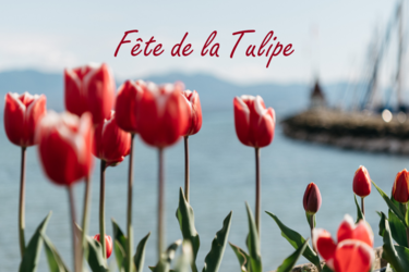Forfait Fête de la Tulipe